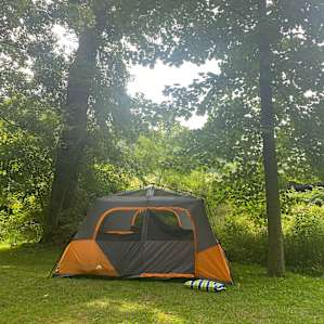 Rewild Wilder at Willowwood
