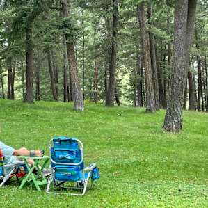 Forest hideaway near Missoula