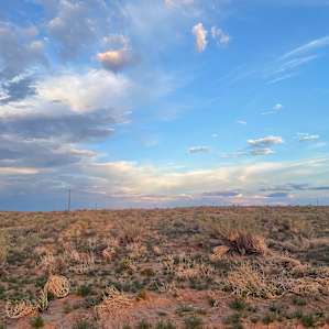 Desert skys