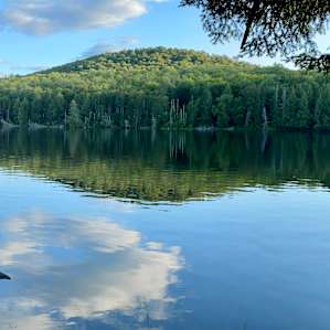 The Alcove at Martin's Pond