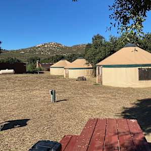 Stallion Oaks Ranch ~16' Yurt
