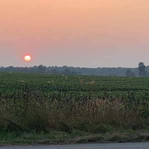 Gorgeous sunsets