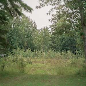 Here's the entrance to the area that I drove into to stay at. A small path leading through wildflowers and greenery until you nestle right into the trees.