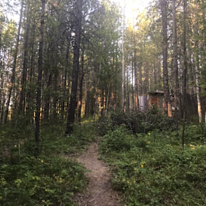 The magical path leading up to the bathroom/shower and just beyond that is the tent pad
