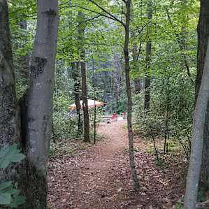 A few steps into the path that takes you right to your site.