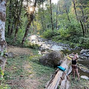 The creek with the cute landing to hang out on.