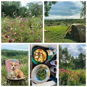 Hilltop Hangout - Tents & Hammocks