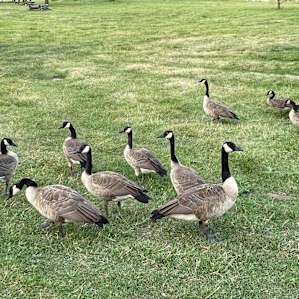 Plenty Star Ranch- Partial RV Sites
