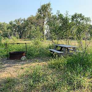 Overgrown grass around table and firepit.