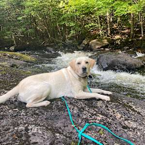 DAVEY FALLS