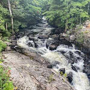 DAVEY FALLS
