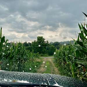 got out just before rain!