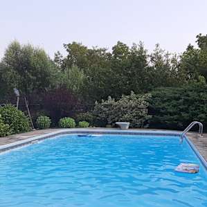 Swimming pool.