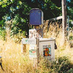 The entrance to Shawl Farm comes up quick right after a corner, so be on the lookout for these signs.