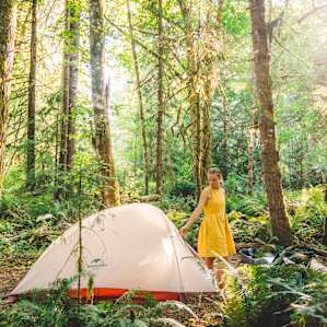 Our tent site within the forest.