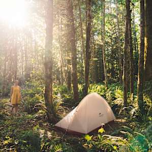 Shawl Farm Woodland Tent Sites