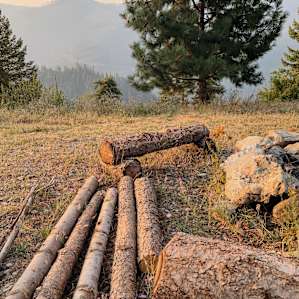 logs around the firepit