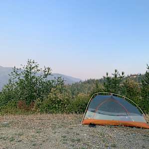 sweet view to wake up to