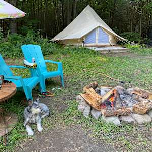 Great fire pit with lots of firewood. Bring kindling unless you are good with an axe.