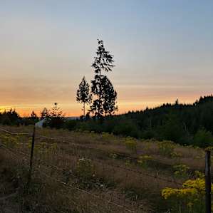 OUR NEW ADDITION: Luxury Glamping