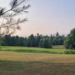 Whitetail Sanctuary