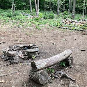 Site 1