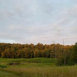 Camp Haven sites. Livingston Manor