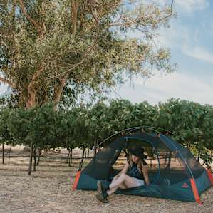 Pick your own spot under the eucalyptus trees.
