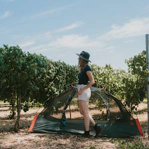 So cool being amongst the vineyards.
