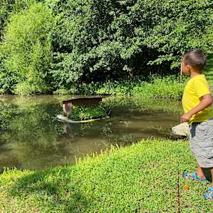Tossing pebbles in the pond!