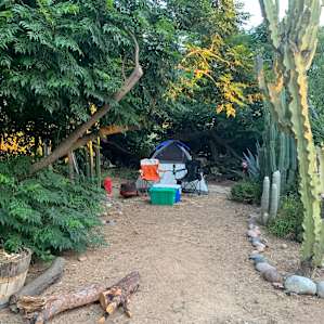 Cactus garden spot is very private