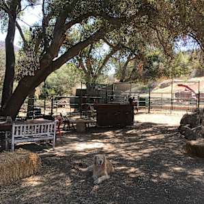 Prospector Ranch - Mountain Views