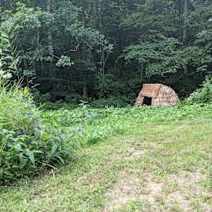 Next 7 Organic Farm Campsite #1.