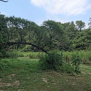Next 7 Organic Farm Campsite #1.