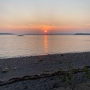 Quiet Acadia Woods Near Ocean