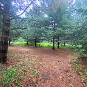 Quick walk from campsite 3 to communal bonfire pit and designated parking