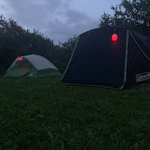 Pine the Sky Campsites