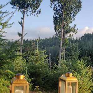 OUR NEW ADDITION: Luxury Glamping