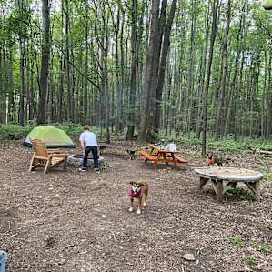 Zoar Valley Forest Retreat Campsite