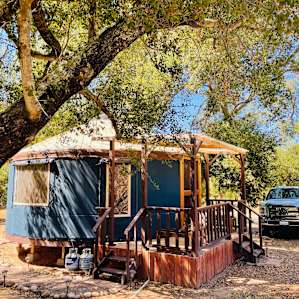 The precious yurt.