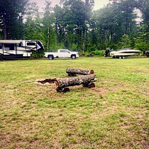 Whiskey Woods Camp