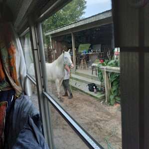 Sun Valley Arabians Horse Camp