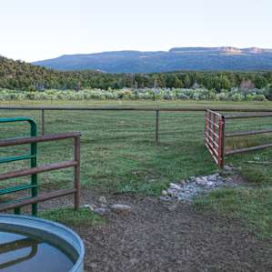 A large portion of Zach's land is rented to a cattle rancher!