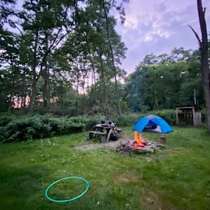Black Locust Campsite