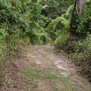 The trail to the campsite