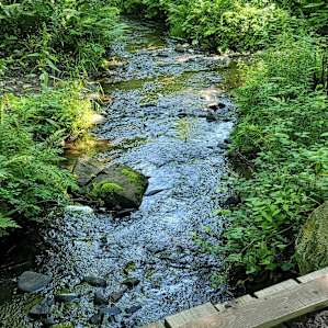 Little bridge over the creek