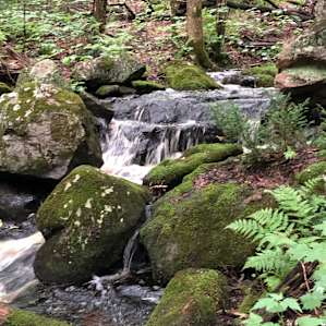Waterfall
