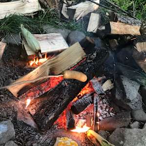 Taino Woods Sanctuary (upper camp)