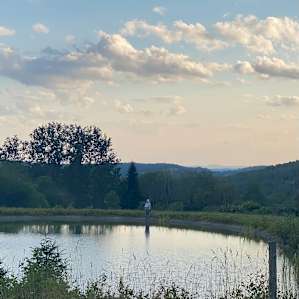 Spring Pond Campsite