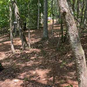 The view from the parking to the campsite. Itâs completely wooded and secluded.